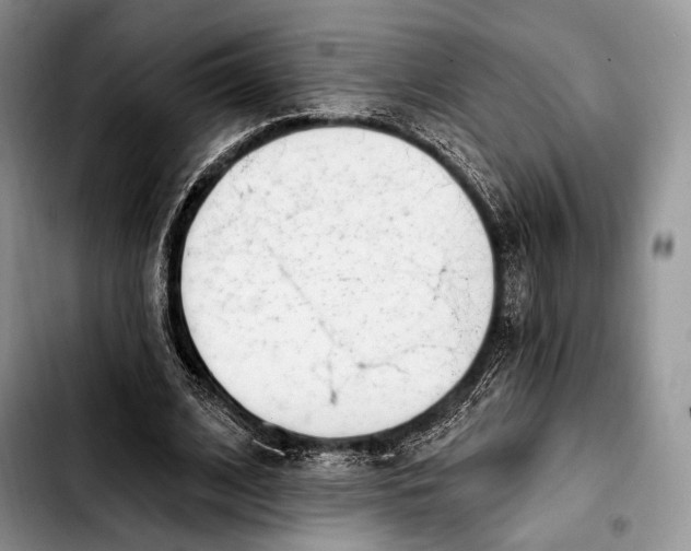 X0000103910584200810101310