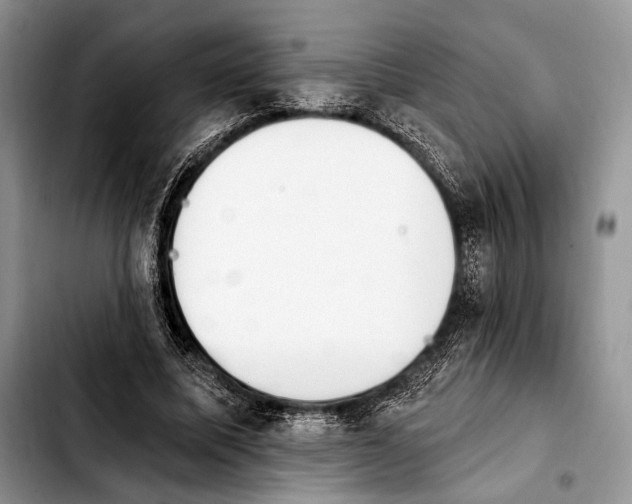X0000103910587200810101310