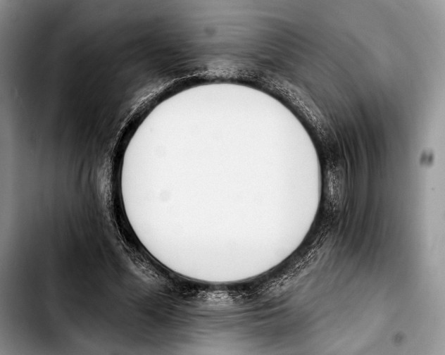 X0000103910588200810101310