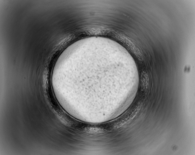 X0000103910590200810101309