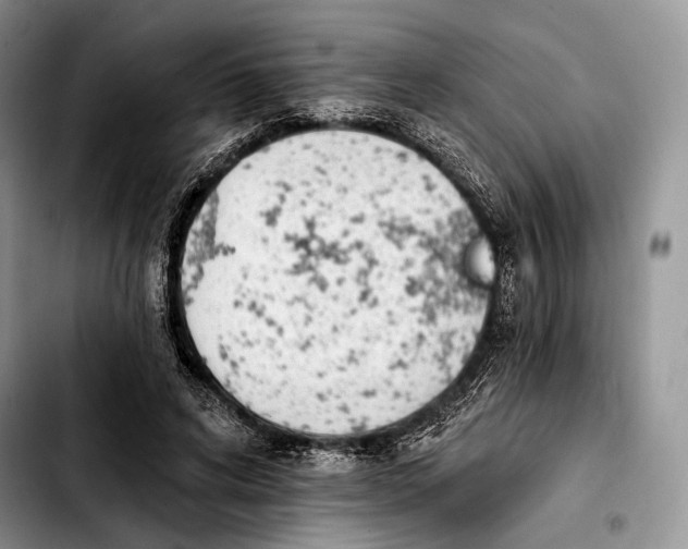 X0000103910592200810101309