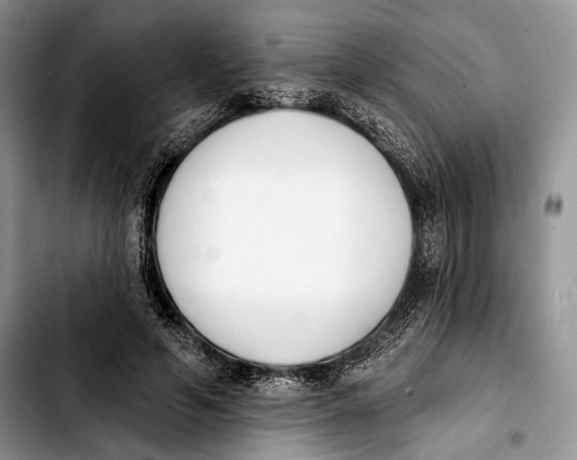 X0000103910594200810101309