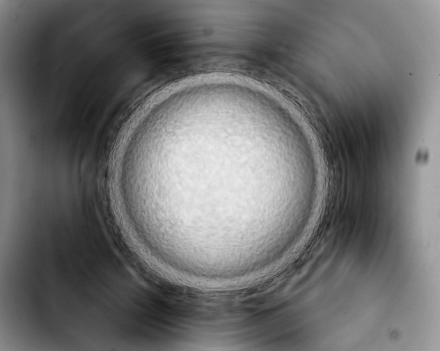 X0000103910595200810101309