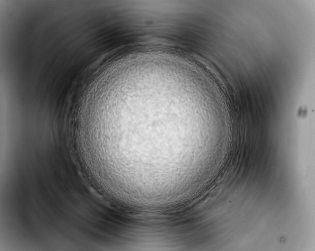 X0000103910599200810101309