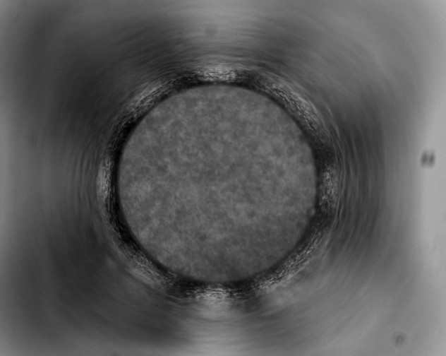 X0000103910600200810101309