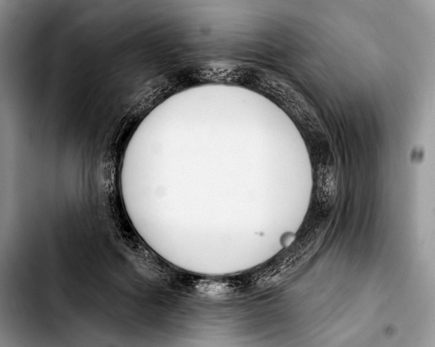 X0000103910602200810101309