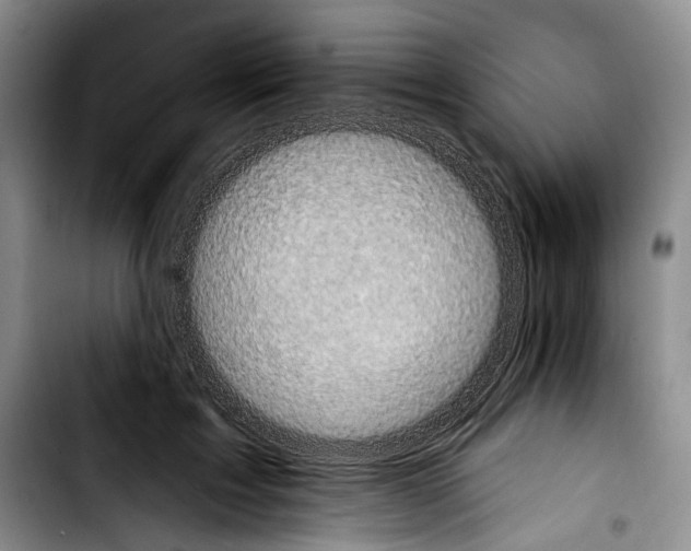 X0000103910603200810101309