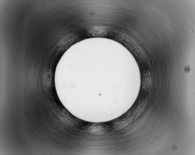X0000103910604200810101309