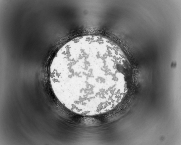 X0000103910605200810101309