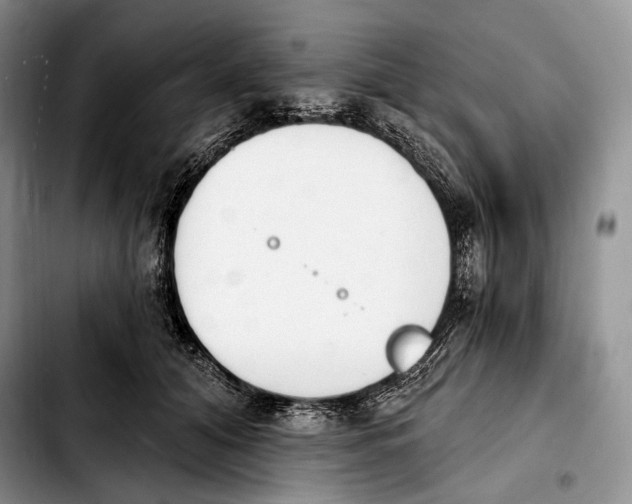 X0000103910608200810101309