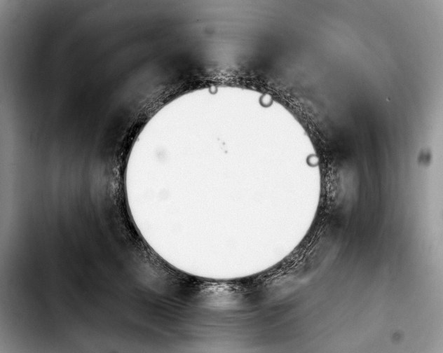 X0000103910611200810101309