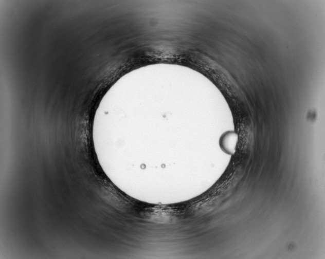 X0000103910612200810101309