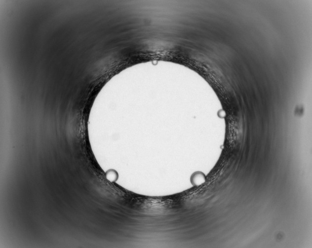 X0000103910613200810101309
