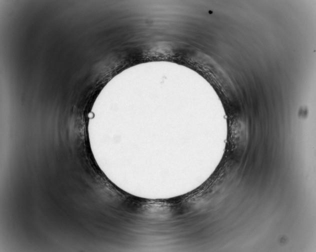 X0000103910617200810101309