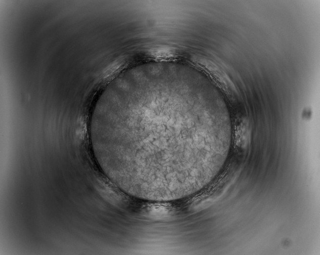 X0000103910618200810101309