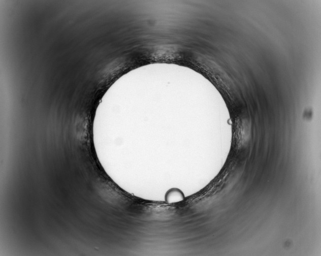 X0000103910619200810101309
