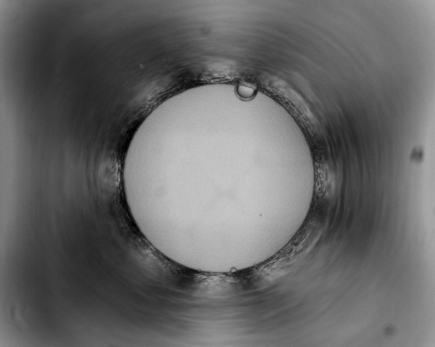 X0000103910621200810101309