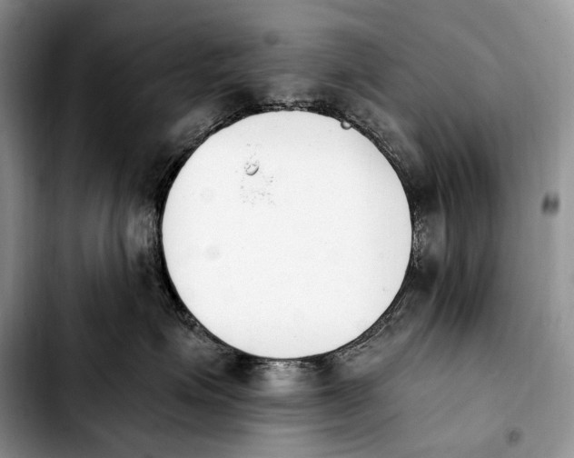 X0000103910623200810101309