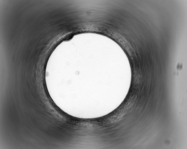 X0000103910625200810101308