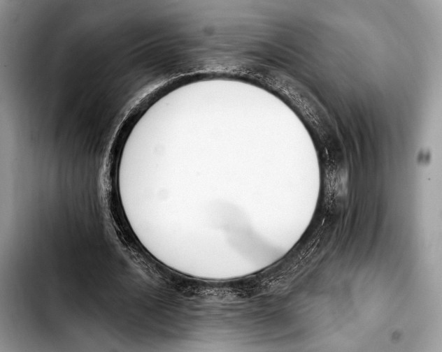 X0000103910628200810101308