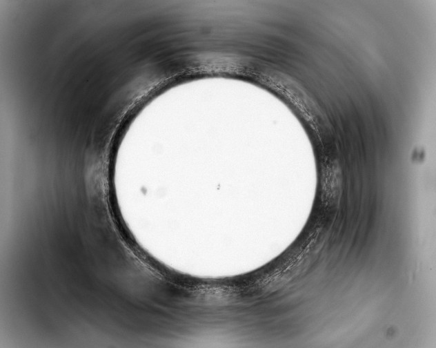 X0000103910629200810101308