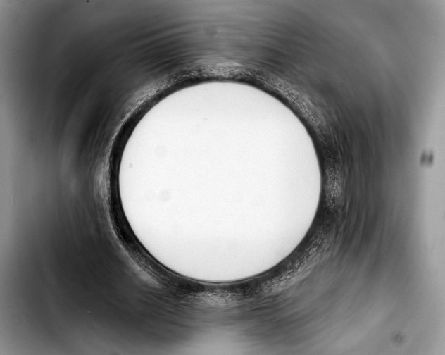 X0000103910630200810101308