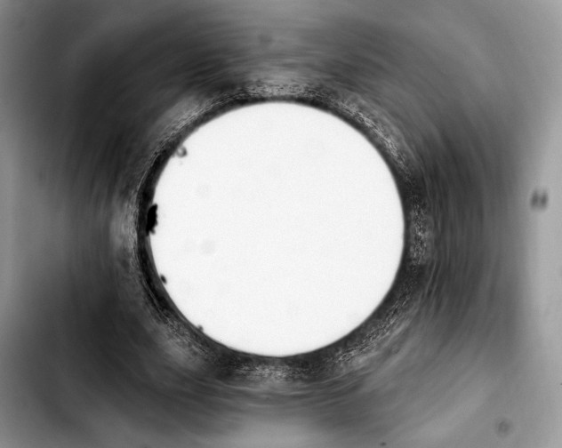X0000103910631200810101308