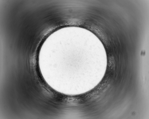 X0000103910632200810101308