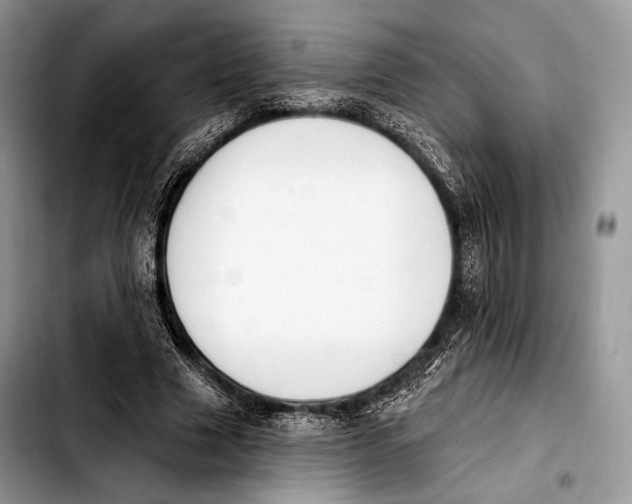 X0000103910633200810101308