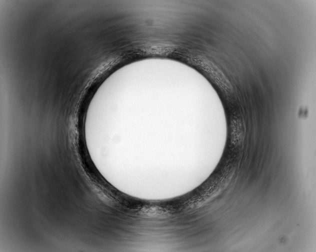 X0000103910634200810101308
