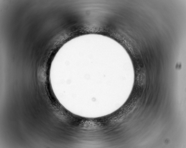 X0000103910635200810101308