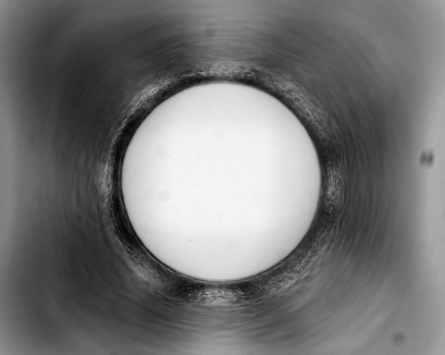 X0000103910636200810101308