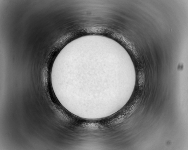 X0000103910637200810101309