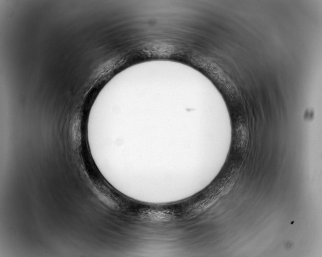 X0000103910638200810101309
