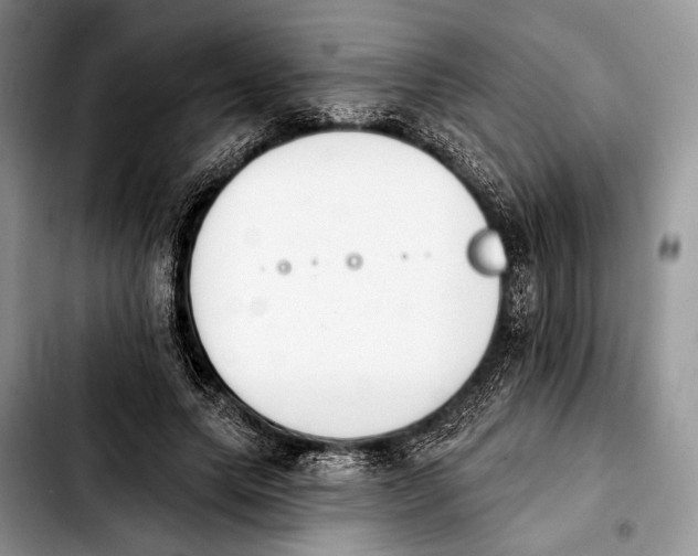 X0000103910639200810101309