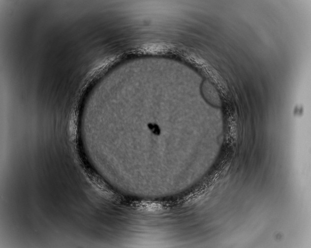 X0000103910640200810101309
