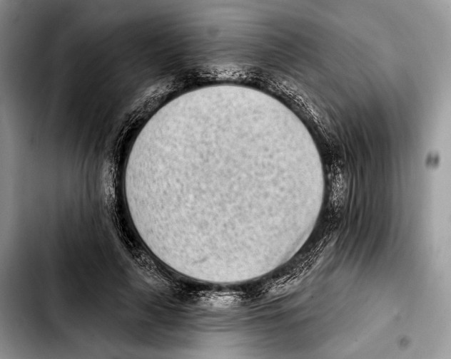 X0000103910643200810101309