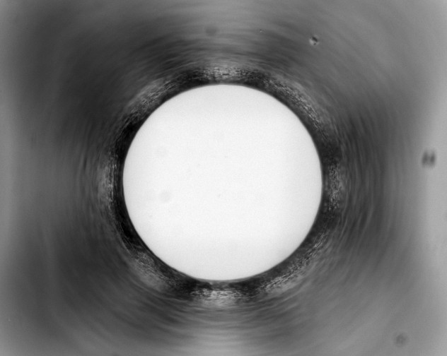 X0000103910645200810101309
