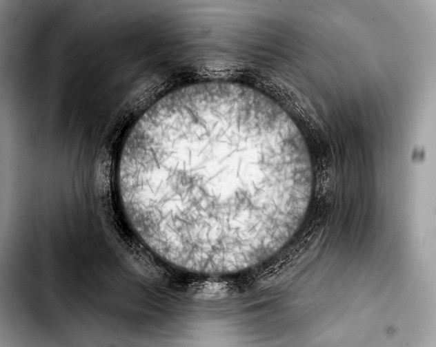 X0000103910647200810101309