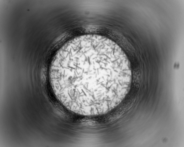 X0000103910648200810101309