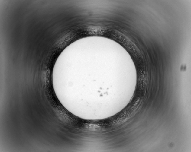 X0000103910649200810101309