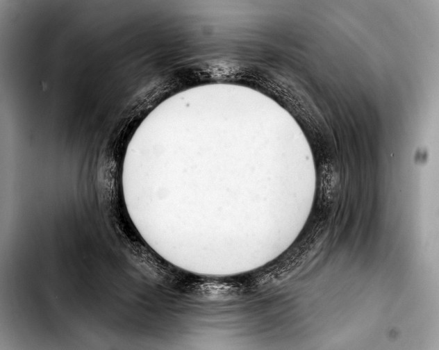 X0000103910650200810101309