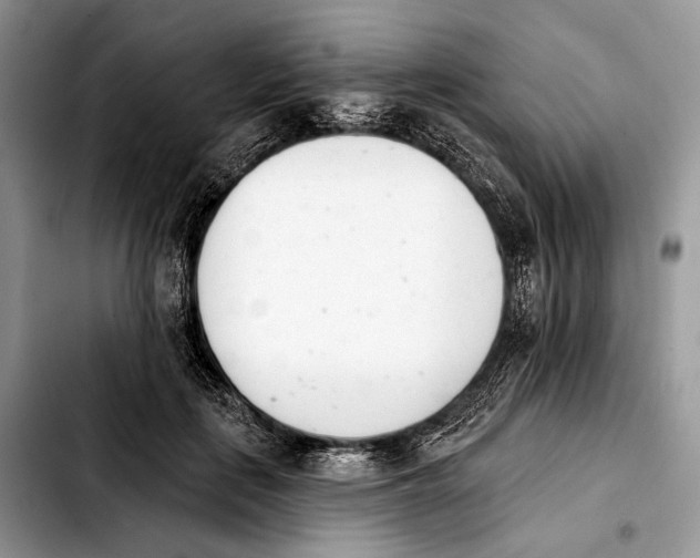 X0000103910651200810101309
