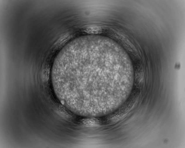 X0000103910652200810101309