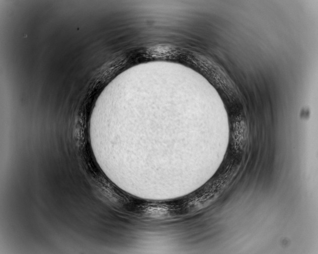 X0000103910653200810101309