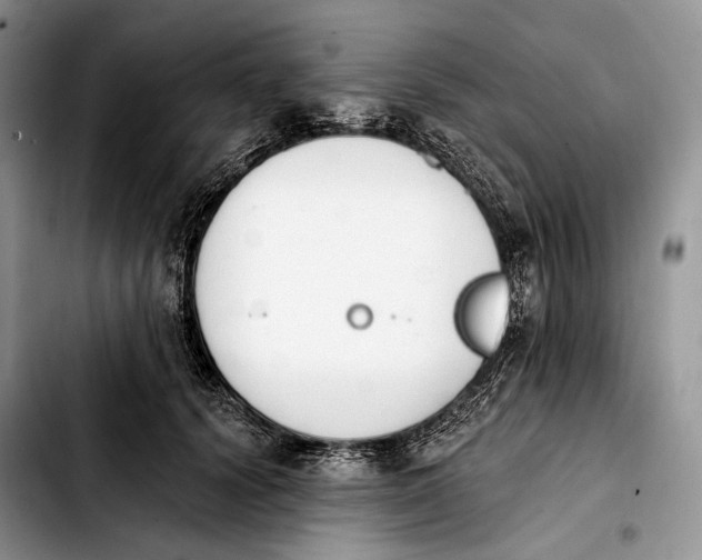 X0000103910656200810101309