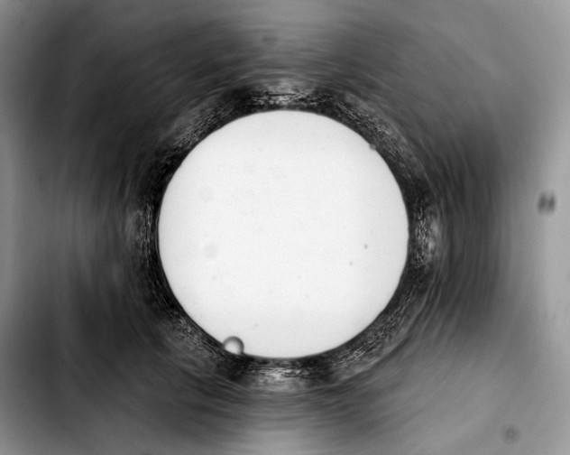 X0000103910657200810101309