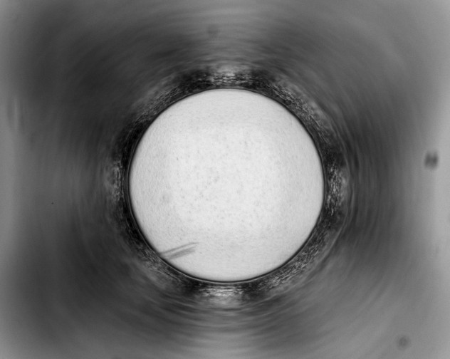 X0000103910659200810101309
