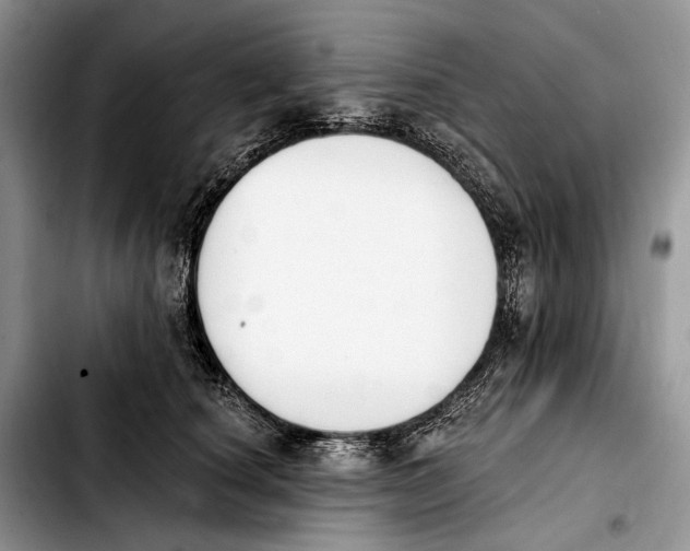 X0000103910660200810101309