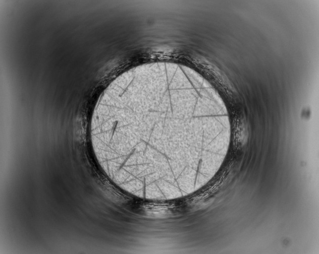 X0000103910661200810101309